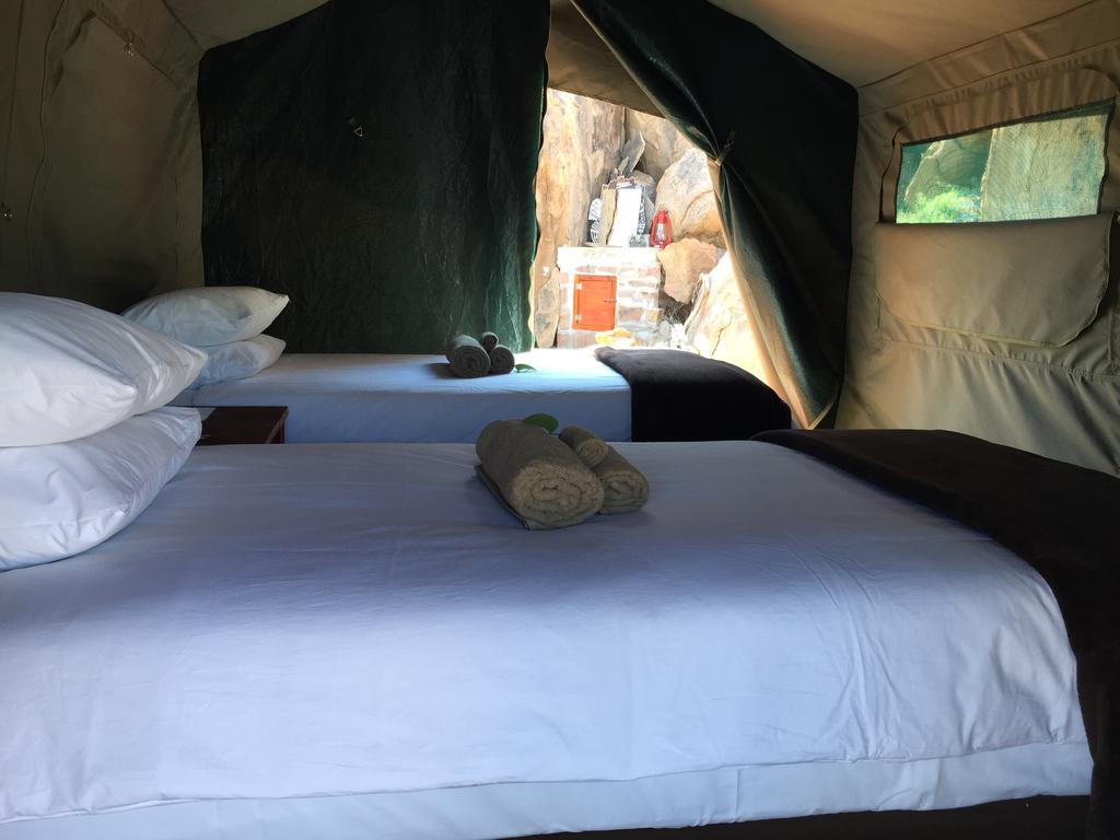 Safari Tents